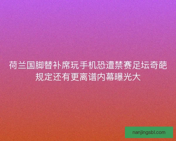 荷兰国脚替补席玩手机恐遭禁赛足坛奇葩规定还有更离谱内幕曝光大